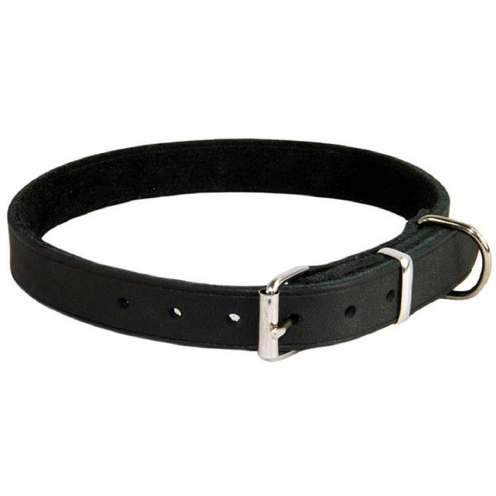Erdgebundenes weiches Land Leder schwarzer Hundehalsband groß (37-45 cm)